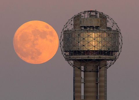 A supermoon moon seems to mirror the rounded top of Reunion Tower in Dallas Texas in November 2016