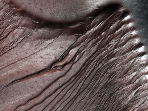 Zich vertakkende geulen doorsnijden de duinen van Russell een oude inslagkrater Wetenschappers fotograferen de duinen regelmatig om seizoensgebonden veranderingen in de rijp op Mars bij te houden De rijp bestaat uit bevroren kooldioxide droogijs