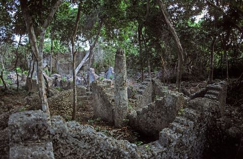 De runes van het ooit bruisende handelscentrum Kua op het eiland Joani voor de Swahilikust van Tanzania worden bedreigd door plunderaars en door het nietsontziende klimaat
