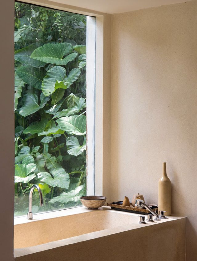 Room, Window, Interior design, Wall, Architecture, Houseplant, Furniture, Material property, House, Shade, 