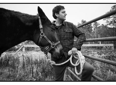 Halter, Bridle, Horse, Rein, Horse tack, Photography, Stock photography, Black-and-white, Horse trainer, Pack animal, 