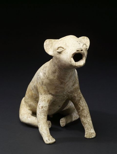 Dit beeldje van een jankende hond werd zon tweeduizend jaar geleden vervaardigd door de Colima uit het westen van Mexico Het gaat waarschijnlijk om het haarloze hondenras waar deze regio in de precolumbiaanse tijd bekend om stond