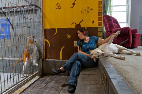 Een van de redenen dat Bobbi Phelan een huzaaraap kocht is dat ze niet agressief zijn Toch ontsnapte Eujo een keer De aap krabde de zoon van Phelan en beet haar hond De kooi van Eujo is tegen de woonkamer van het huis van Phelan in Indiana aangebouwd Via een luik is een groter buitenverblijf bereikbaar