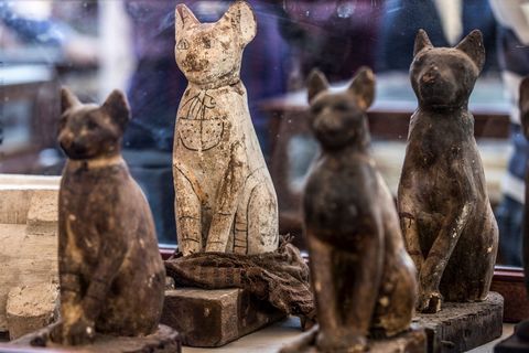 Samen met de dierenmummies werden ook tientallen 2500 jaar oude dierenstandbeelden ontdekt