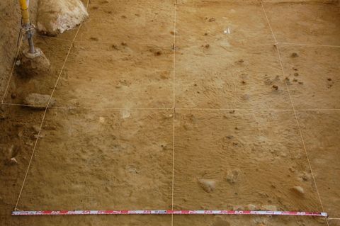 Opgravingen in Barranc de la Boella in 2015