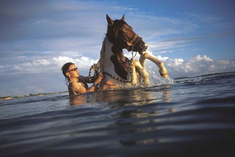 Een man houdt zich goed vast als zijn Palo Fino paard steigert in de oceaan voor de westkust van Aguadilla in Portorico