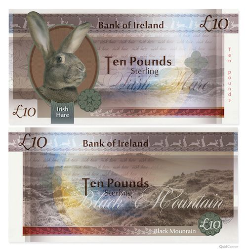 Irish hare bank note photo