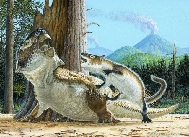 konden zoogdieren dinosauriërs eten