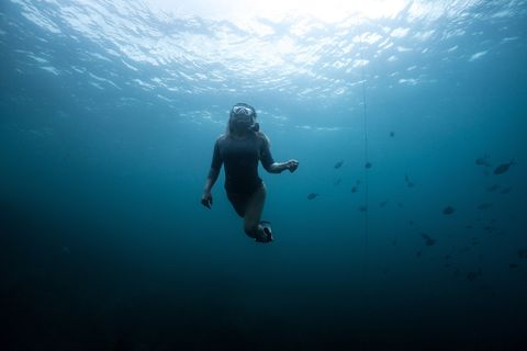 BAY OF ISLANDS NIEUWZEELANDEen snorkelaar is op weg naar het wateroppervlak in de Tasmanzee Voor mij is er niets zo zomers als de oceaan felle zon boven je blauw water onder je een waterlandschap boordevol leven stelt fotograaf Andy Mann