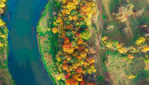 Herfstkleuren in Vilnius Litouwen
