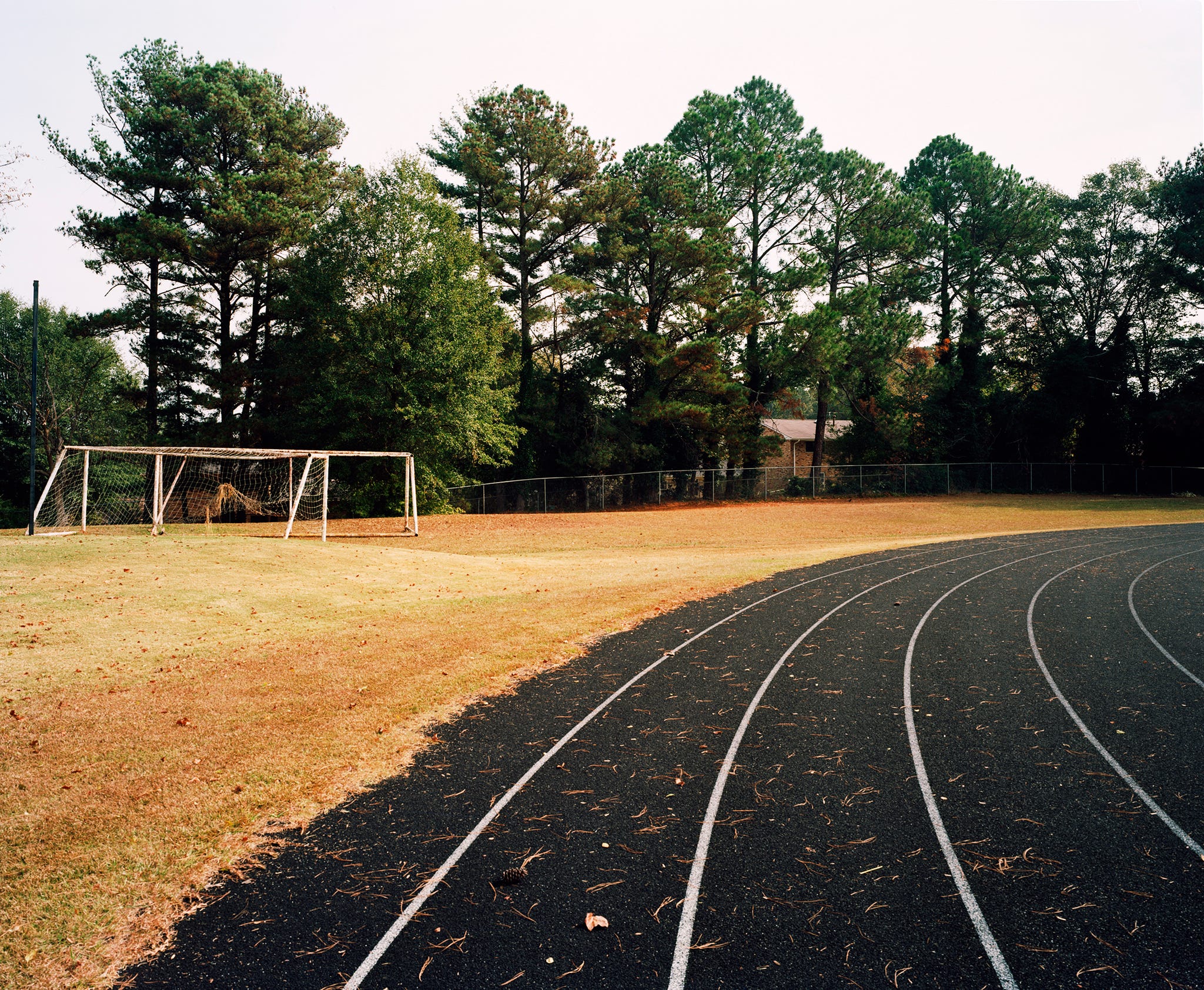 Gwen Torrence track