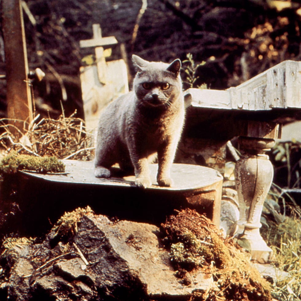 21 best horror movies 21 best horror movies