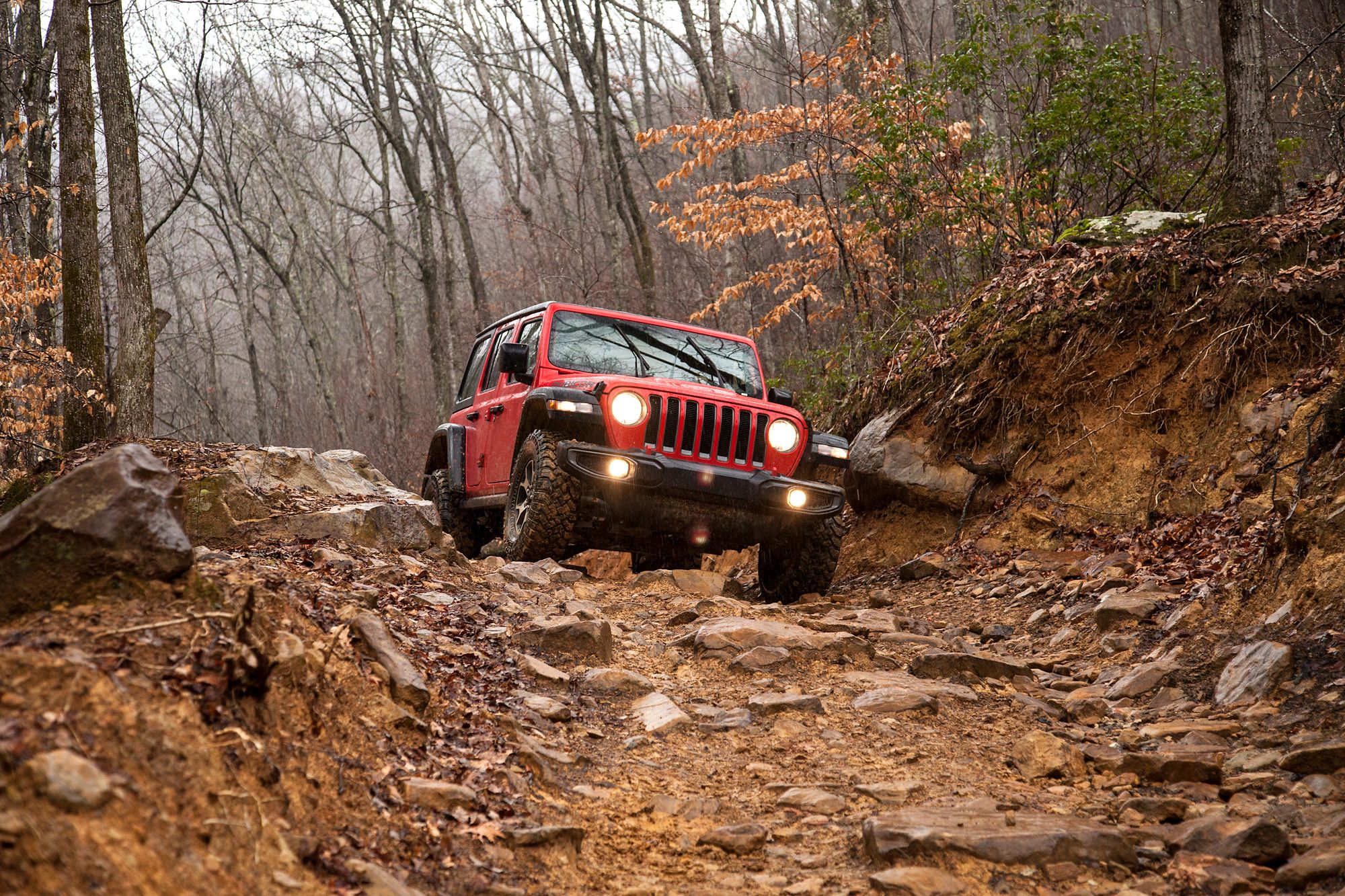 Going Offroad in Your Jeep? 5 Things You'll Want to Have in Place