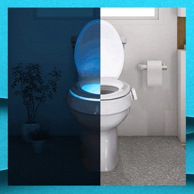 Whatever Happened To Illumibowl – Toilet Night Light After Shark Tank  Season 7?