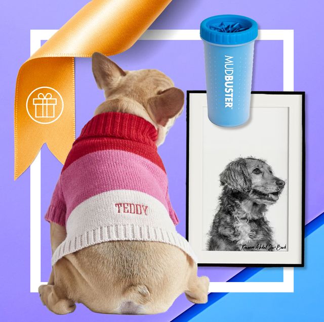 57 Delightful Gifts for Dog Lovers and Their Pets in 2022: Chewy