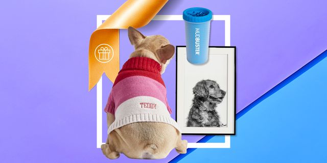 30 Best Gifts for Dog Lovers 2024 - Unique Gifts for Dog Moms