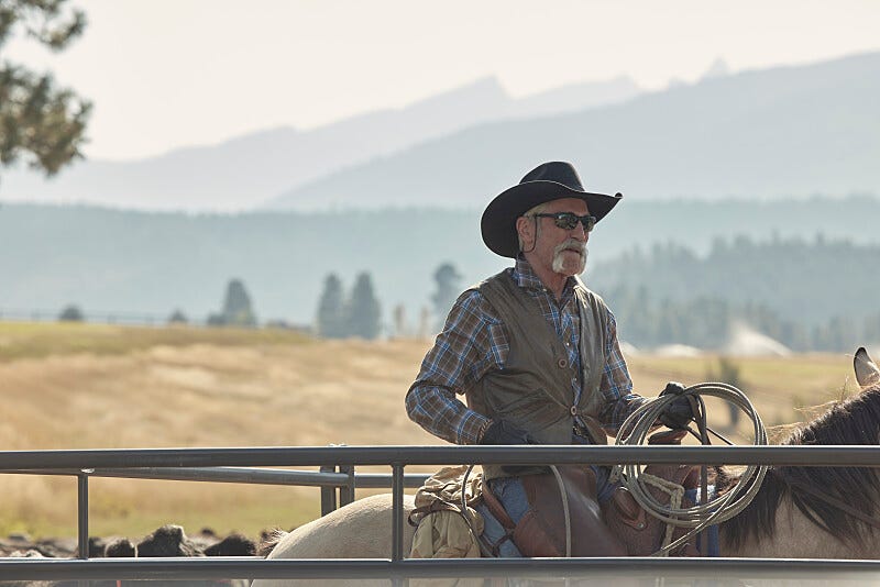 Yellowstone Star Says the Series Isn't Over Yet