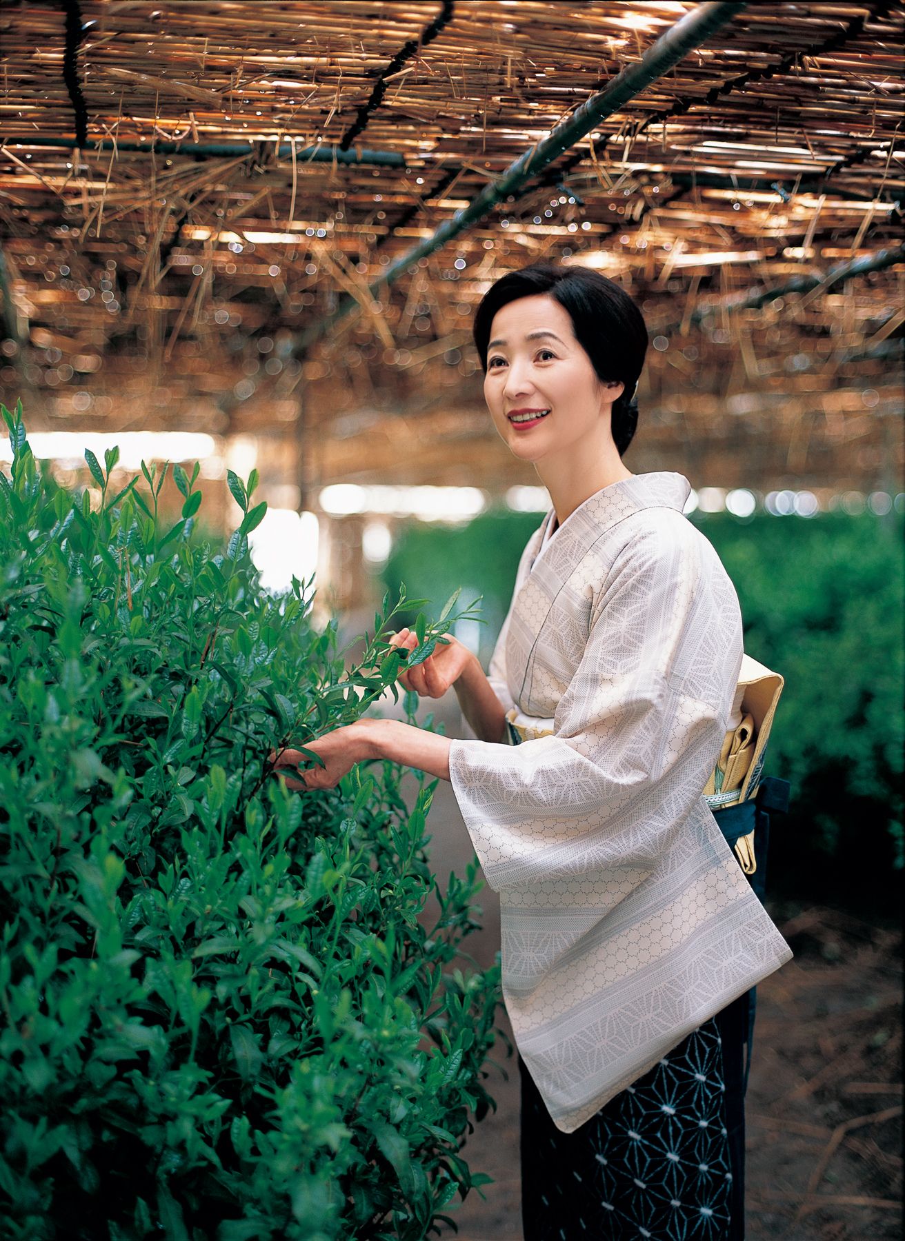 檀ふみの茶の湯はじめ｜第十章｜茶杓 海田曲巷さんに茶杓削りを教わる