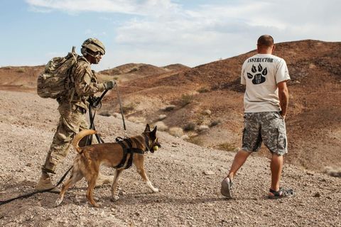 Op het militaire oefenterrein van Yuma leert Mark Lloyd een private hondentrainer korporaal Andre Reid links hoe hij met zijn hond moet omgaan
