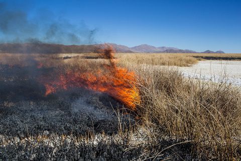 Een stuk land in Bolivia wordt gerooid door de vegetatie af te branden Foto uit het National Geographicartikel Verdroogde meren door klimaatverandering maart 2018