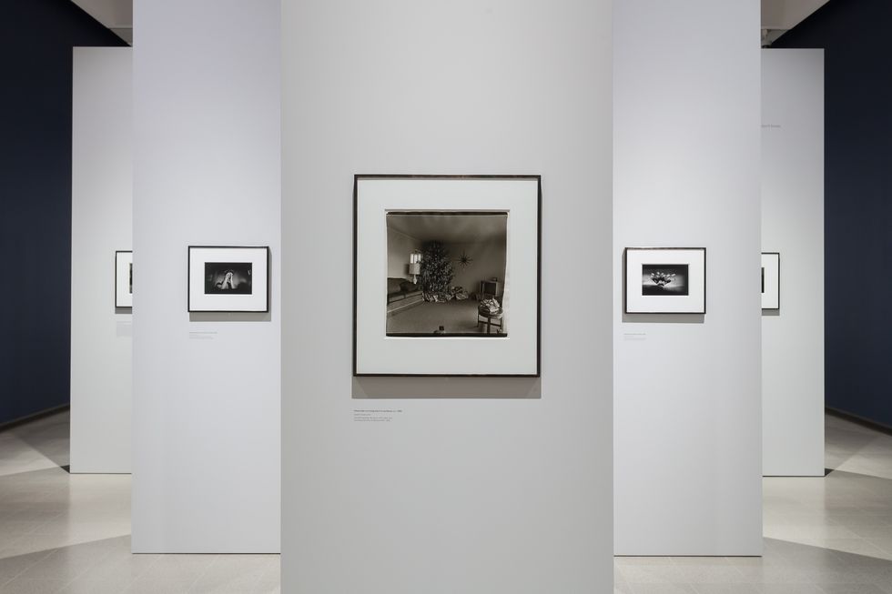 Mark Blower, Diane Arbus, Hayward Gallery