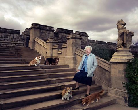 Op Windsor Castle neemt koningin Elizabeth II een pauze met vier van haar honden van linksboven met de klok mee Willow Vulcan Candy en Holly