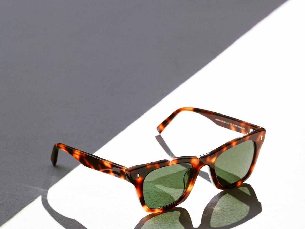 Warby Parker Harris Wayfarer Sunglasses Review - Best Warby Parker  Sunglasses