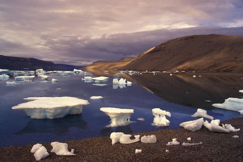 In de Borup Fiord Pass een gletsjervallei op het Canadese Ellesmere Island ligt een stinkend stuk gelig ijs dat doet denken aan de oppervlakte van een van Jupiters manen Europa De buitenaardse ijsmaanachtige omgeving van de gletsjer is het werk van zoutwaterbronnen die zwavel over de ijskorst uitsproeien Wetenschappers die de gletsjer bestuderen hebben er diverse microbile kolonin gevonden en gebruiken het landschap om te proberen levensvormen op afstand te detecteren