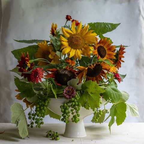 frances palmer sunflower flower arrangement