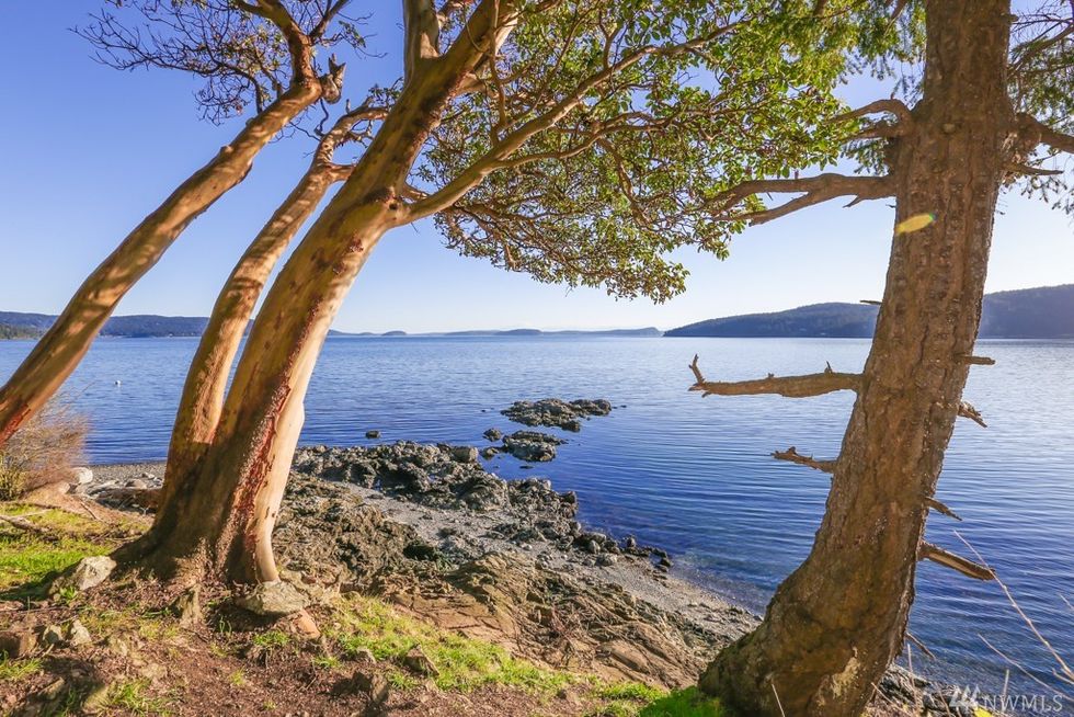 Body of water, Tree, Nature, Water, Coast, Natural landscape, Shore, Sea, Azure, Woody plant, 