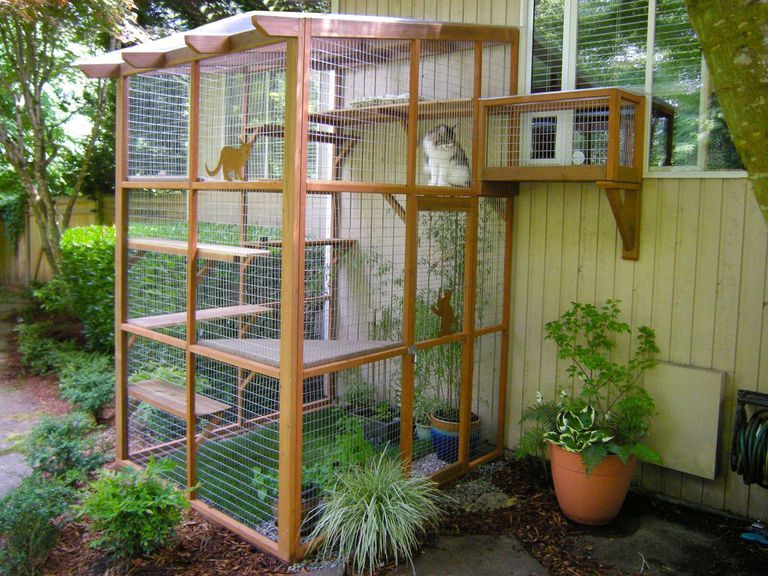 Cage, Pet supply, Shed, Building, House, Plant, Backyard, Chicken coop, Outdoor structure, 
