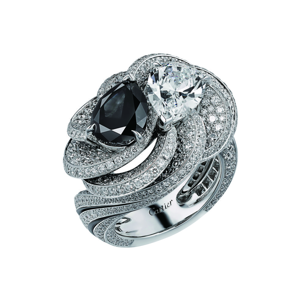 Ring, Jewellery, Diamond, Fashion accessory, Engagement ring, Gemstone, Platinum, Silver, Metal, Wedding ring, 