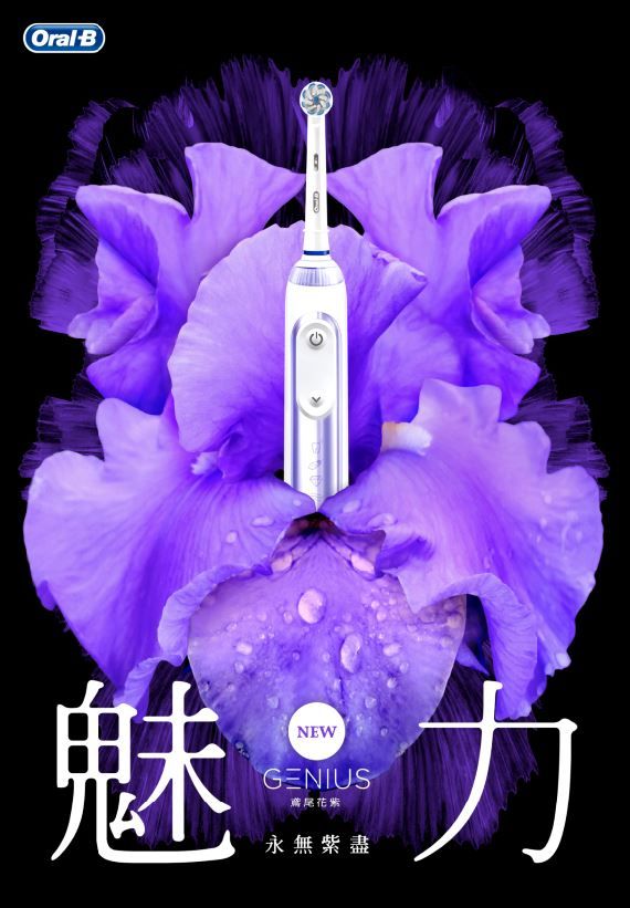 Violet, Purple, Feather, Plant, Flower, Iris, 