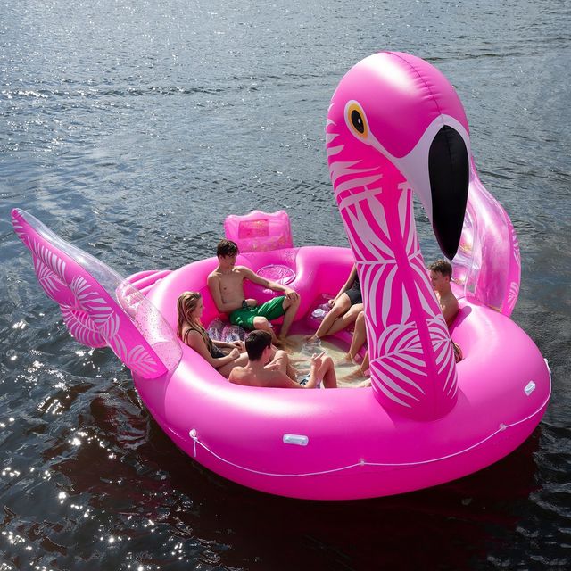 Water transportation, Pink, Water bird, Inflatable, Bird, Vehicle, Flamingo, Boat, Recreation, Leisure, 