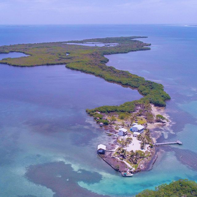 island in belize for sale
