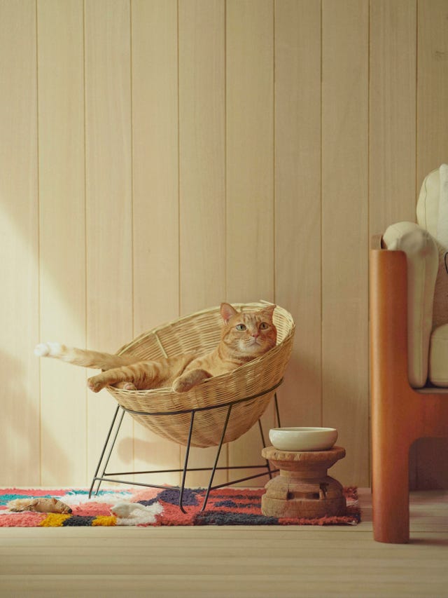 【♥︎】かわいい猫の装飾品、居心地の良い家庭用家具 41-100064.jpg