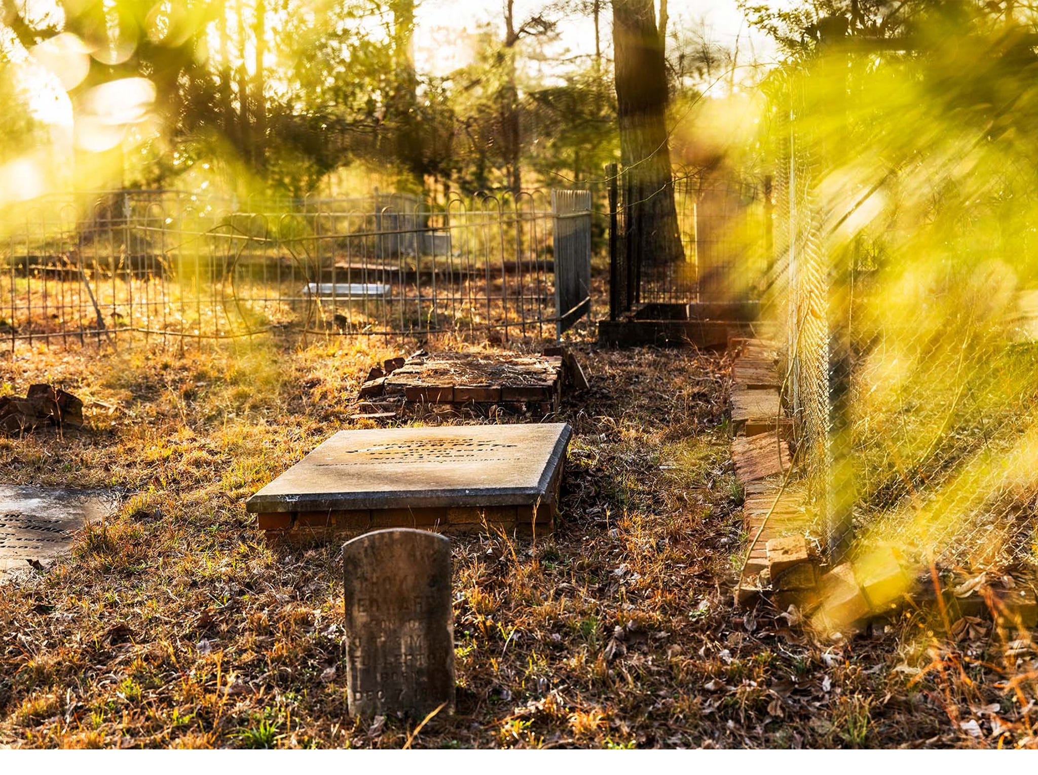 a wooden bench in a park