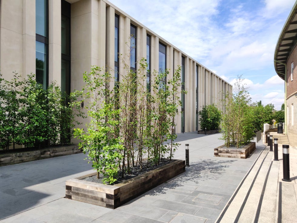 la stpaul's school di londra