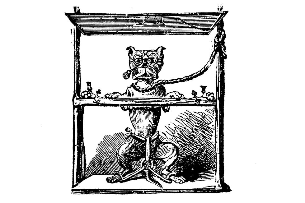 De hond die zijn edele baas beetIn 1817 verscheen in Londen een acht paginas tellend pamflet met het in steno opgenomen rechtbankverslag van de zaak tegen de hond Honesty verdacht van het bijten van een edelman Dit dier had zon onverschrokken karakter dat het niet onder de indruk was van het gewicht van de hele zaak meldt de anonieme auteur Hij was daarom in een respectvolle houding vastgemaakt  en opdat de gevangene goed zou zien dat hij een eerlijk en onbevooroordeeld proces kreeg had de rechtbank het dragen van een bril en een muilkorf bevolen De rechtszaak vond plaats in aanwezigheid van een negen personen tellende jury In een kruisverhoor worden zowel de aanklager de edelman als de verdediging van de hond ge hoord Uiteindelijk blijkt het boekje een satire te zijn waarin de hond Honesty staat voor de armoede die in opstand komt tegen de rijke adel Het vonnis luidt dan ook vrijspraak