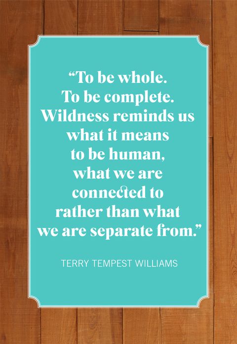 camping quotes terry tempest williams