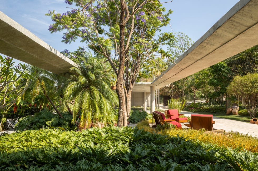 casa de hormigon con piscina que combina estructura brutalista, ventilacion cruzada y diseno tropical a medida