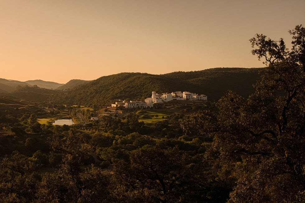 viceré ombria algarve