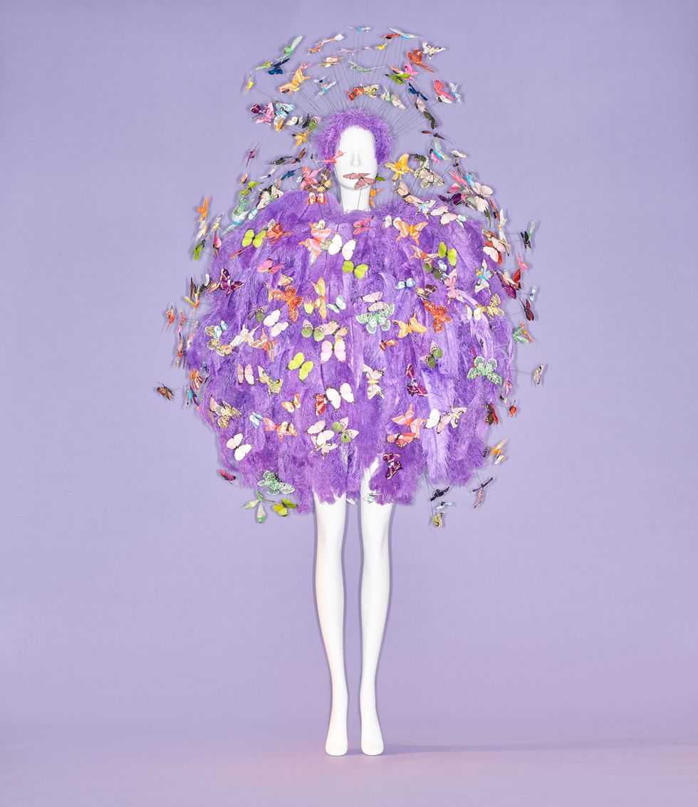 Purple, Violet, Cut flowers, Lilac, Lavender, Plant, Flower, Tree, Bouquet, Illustration, 
