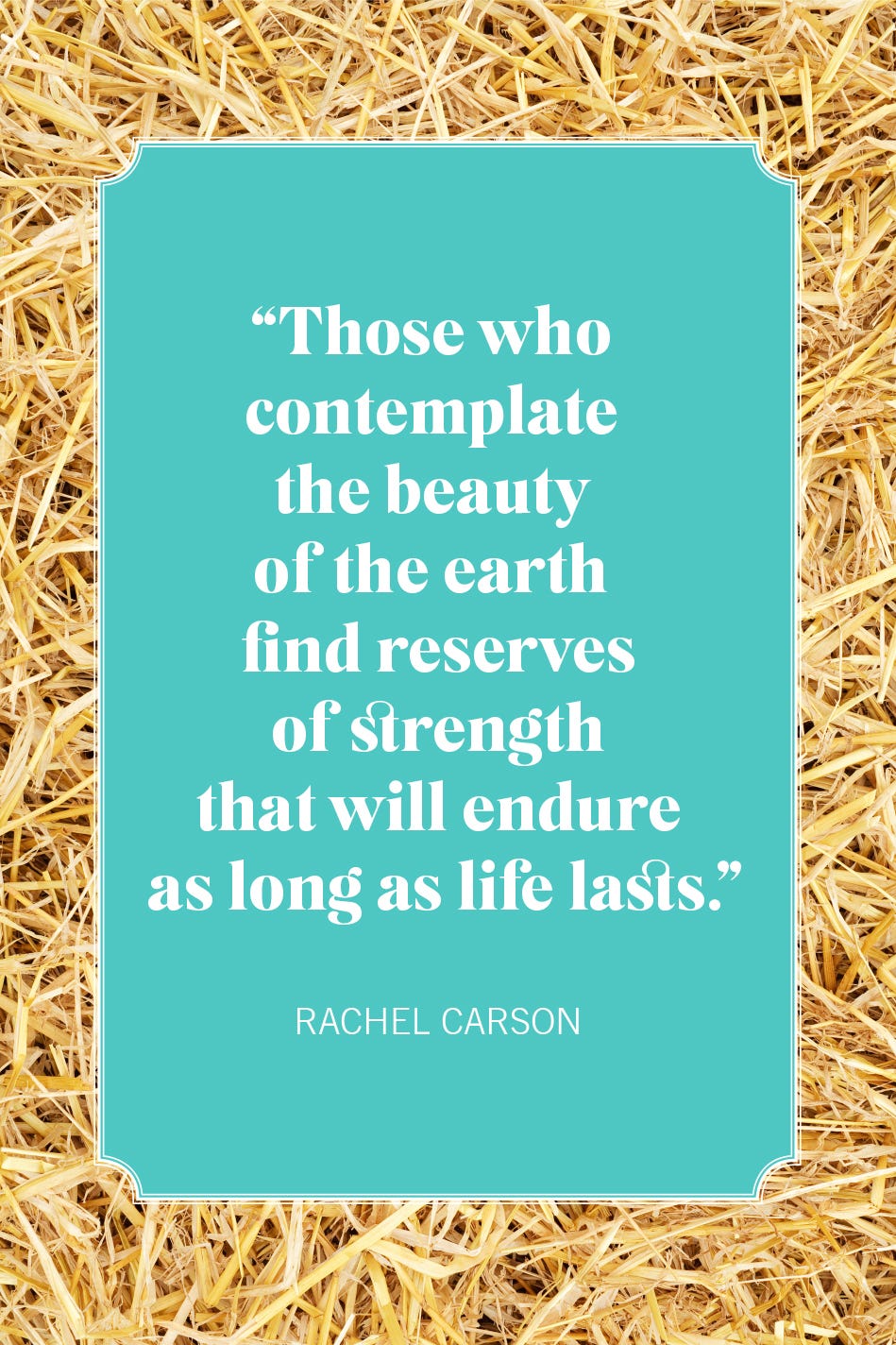 nature quotes rachel carson