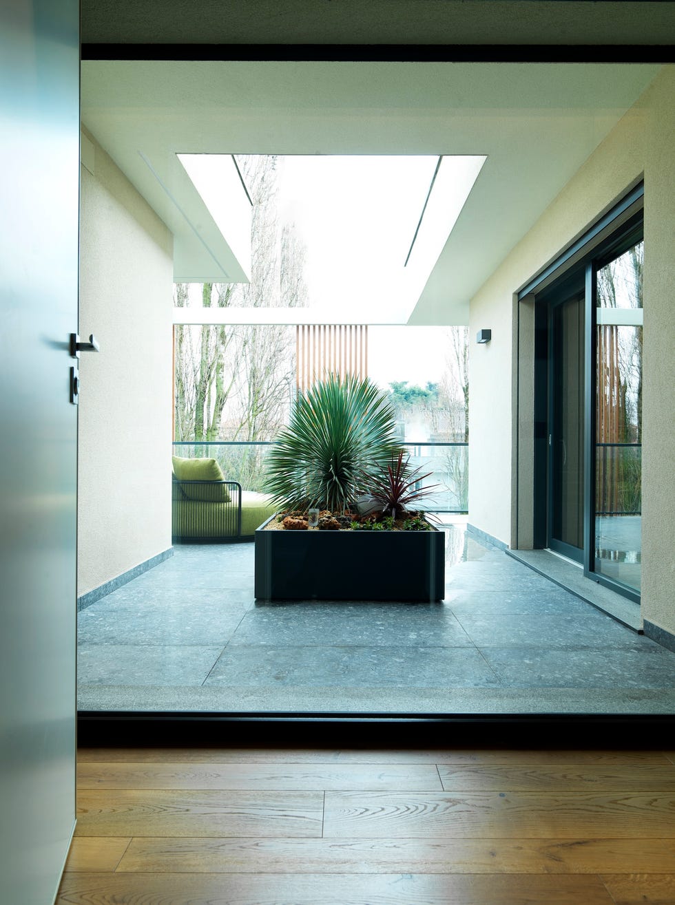 jardinera de plantas perennes, sofa de doble respaldo gabinete de curiosidades, esta casa es unica en su especie