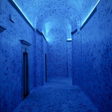 a hallway with blue walls