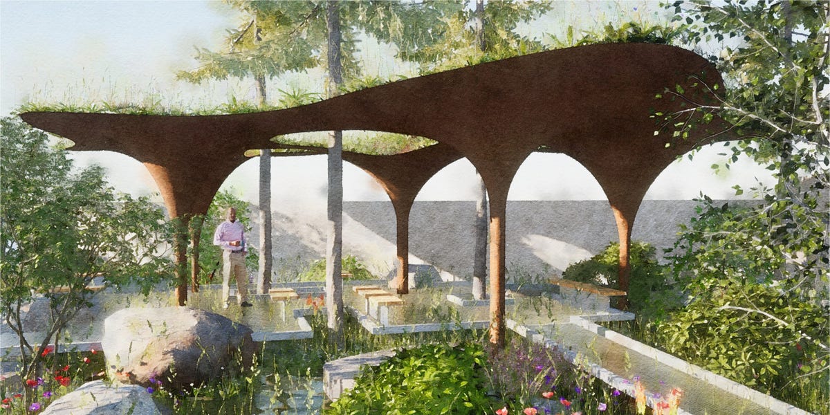 An illustration of the WaterAid garden at RHS Chelsea Flower Show 2024 rhs chelsea flower show
