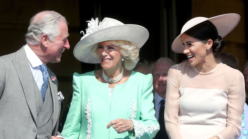 Milieuactivist Afgeschaft Jolly Prince Harry Attacked By a Bee at Prince Charles' 70th Birthday Party -  Watch Meghan and Camilla Laugh at Harry
