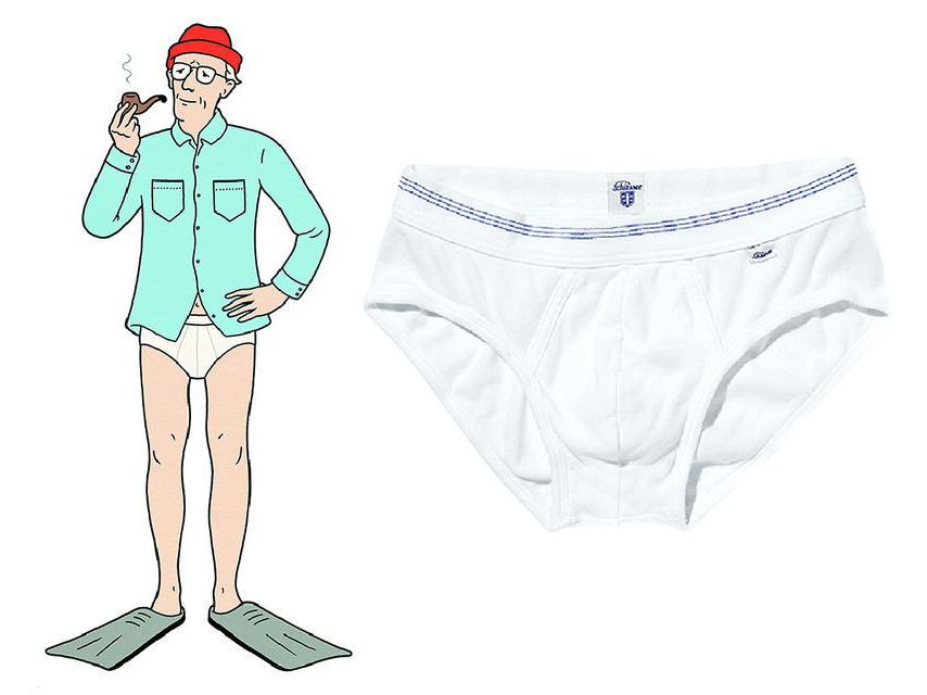 Underpants, Clothing, Briefs, Undergarment, Cartoon, Swimsuit bottom, Leg, Shorts, Illustration, Swim brief, 