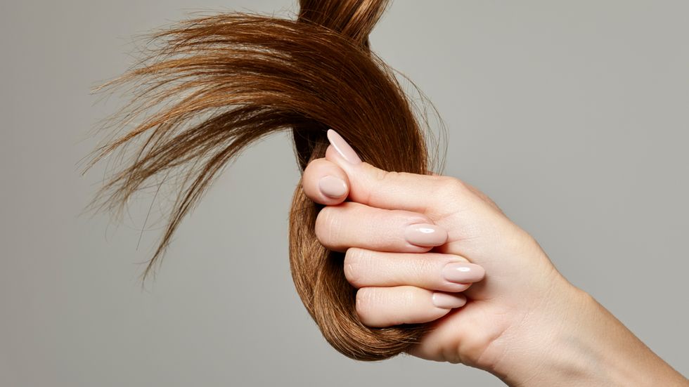 Human hand holding brown hair against gray background, close up